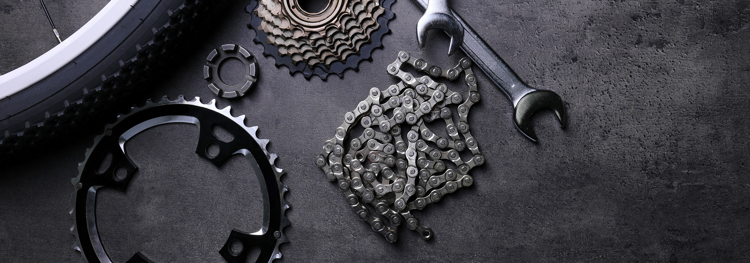 AdobeStock_167141573-2025