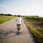 mhw magazin fahrradfahren mit hund 150x150 - Cube AMS Hybrid ONE44 Race – Vincitore del test